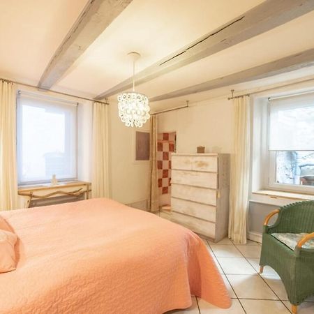 Apartment Classified 3 Stars Located In The Heart Of The Old Town Annecy Exteriér fotografie